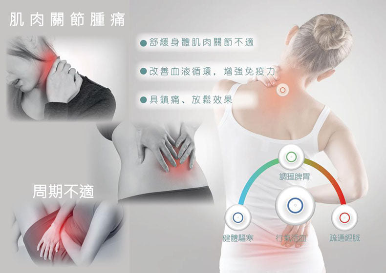 TOEASEPRO 智能電子艾灸儀