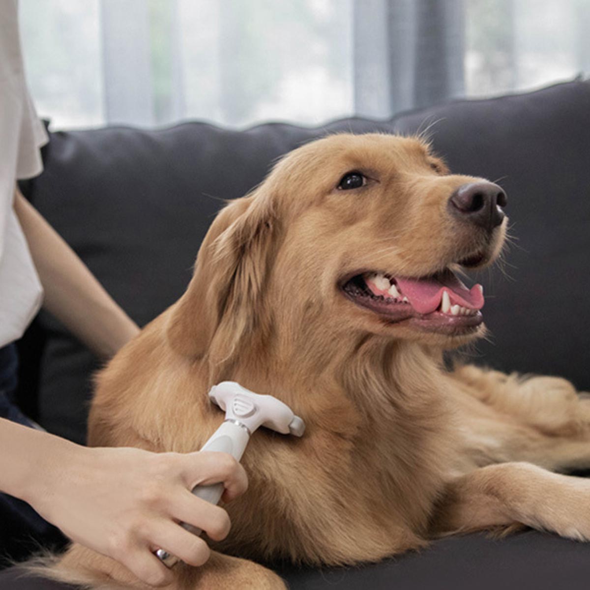 小米有品 Pawbby 單手式 浮毛 廢毛 打薄 寵物祛毛刀梳