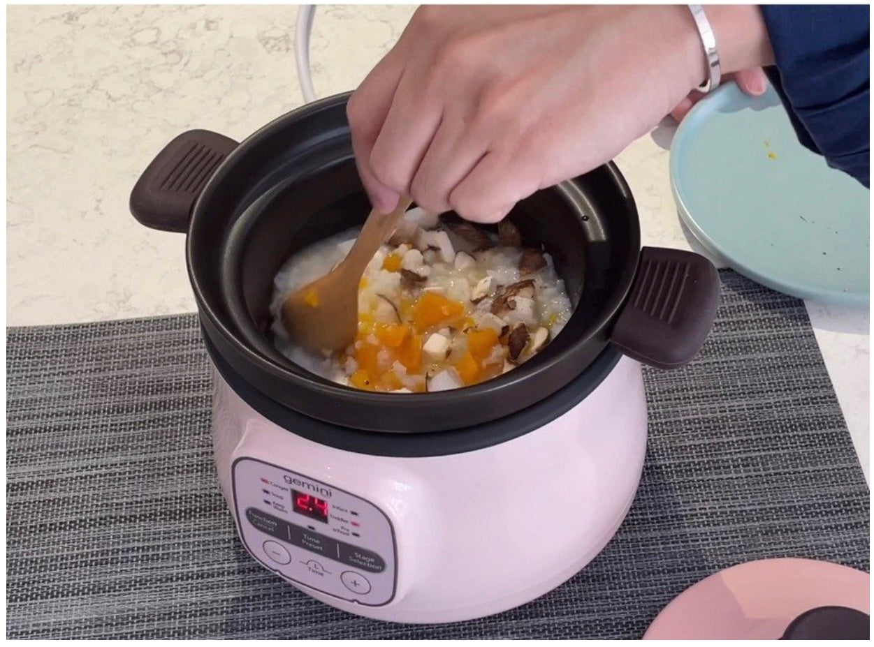 Gemini 多功能嬰兒粥湯煲 GSC250