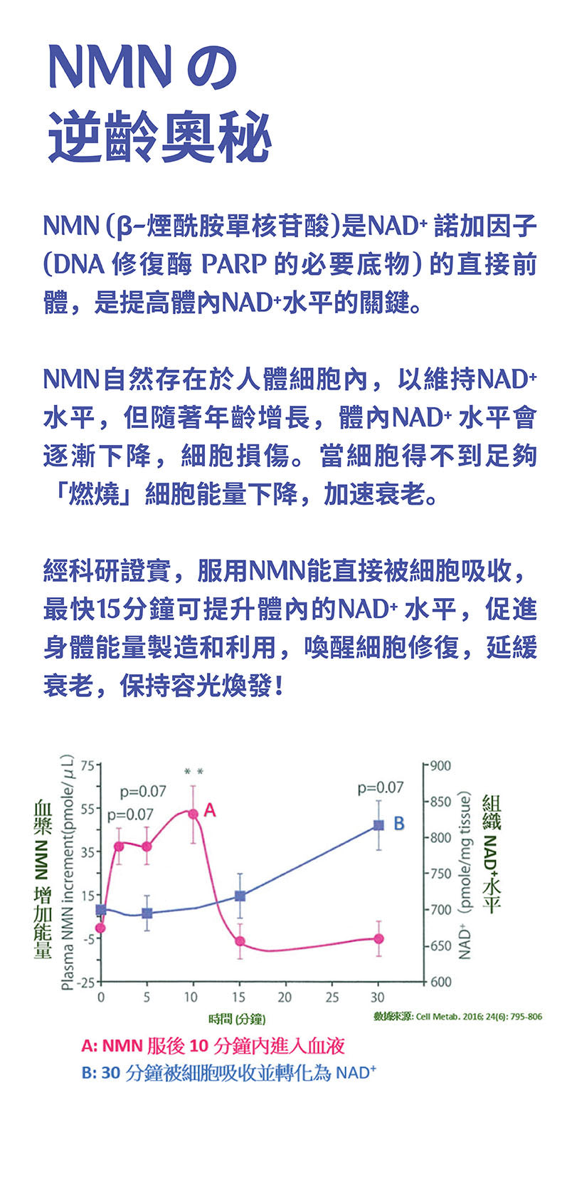 神寿源 NMN12000 Q10 Plus 6000