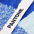 PANTONE 100%優質純棉印花毛巾（方巾）GB08W